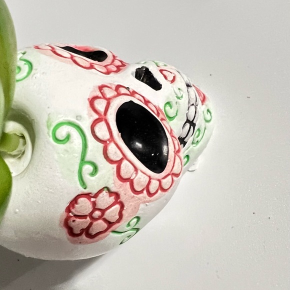 Day Of The Dead Desktop Ceramic Sugar Skull Artifical Succulent Plant Figure - Picture 11 of 11
